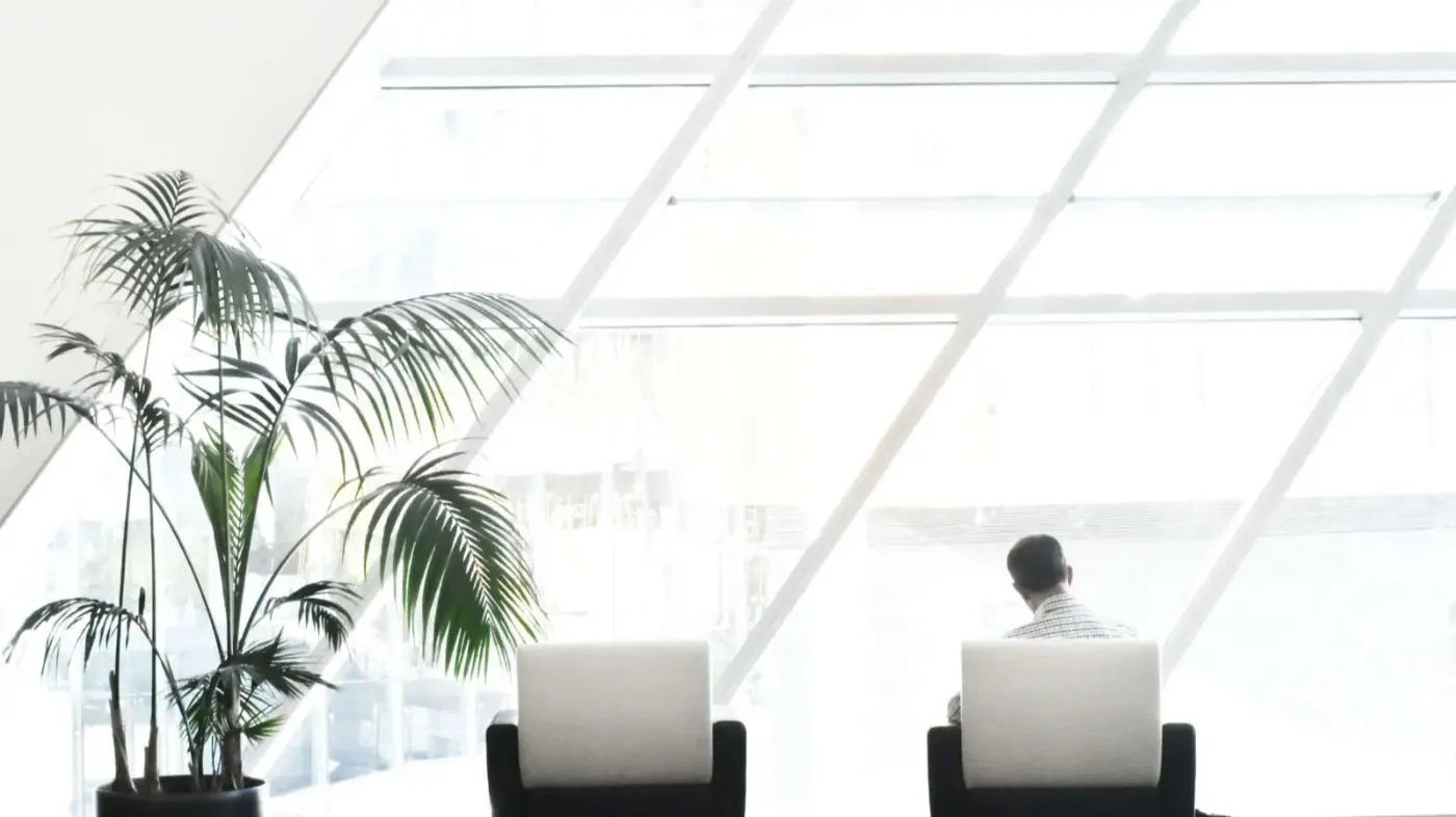 Un bureau avec un palmier, deux chaises et une personne de dos avec vue sur l'extérieur.